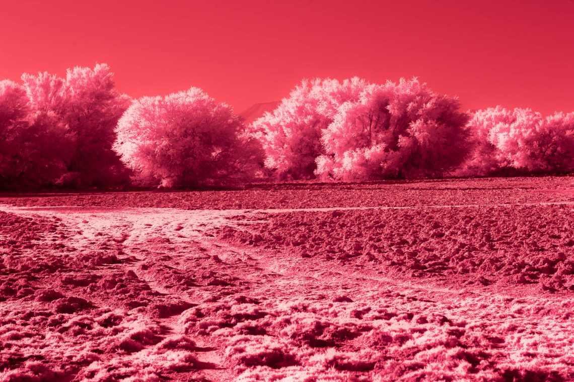 Cartas de um Planeta Vermelho