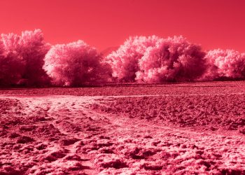 Cartas de um Planeta Vermelho