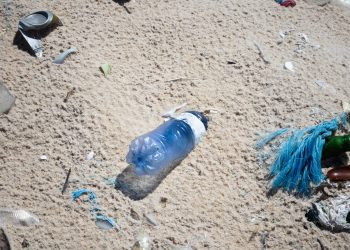 Horizontes Plásticos