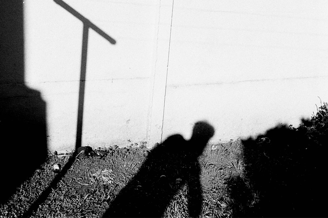 Brazil, 1.138 de março de 2020