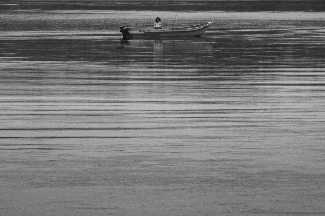 Vejo você aqui também