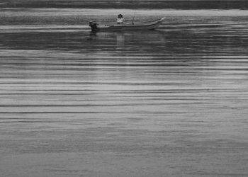 Vejo você aqui também