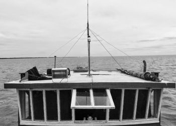 As redes que alimentam