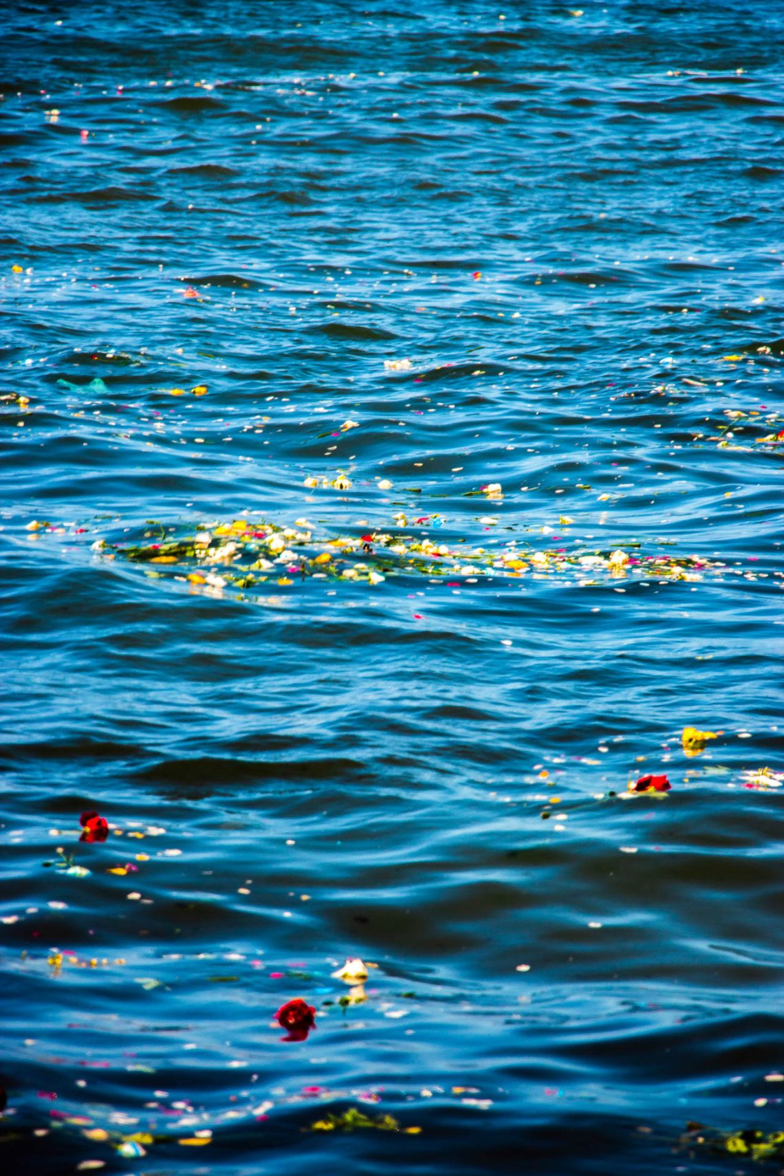 Dia 02 de Fevereiro – Odoyá