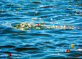 Dia 02 de Fevereiro – Odoyá