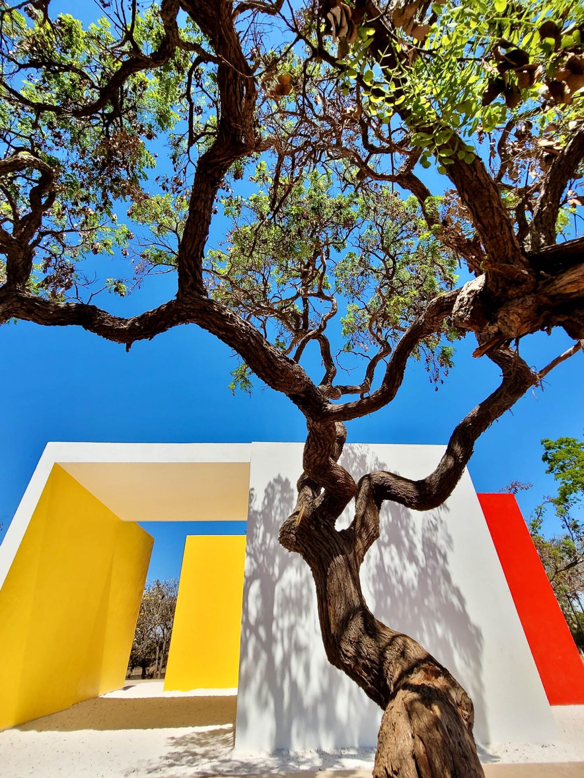 Renovação das Utopias