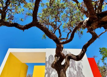 Renovação das Utopias