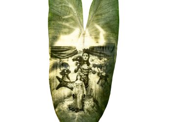 Sem folha não tem Orixás