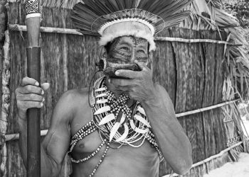 Les Derniers Témoins (os últimos testemunhos)