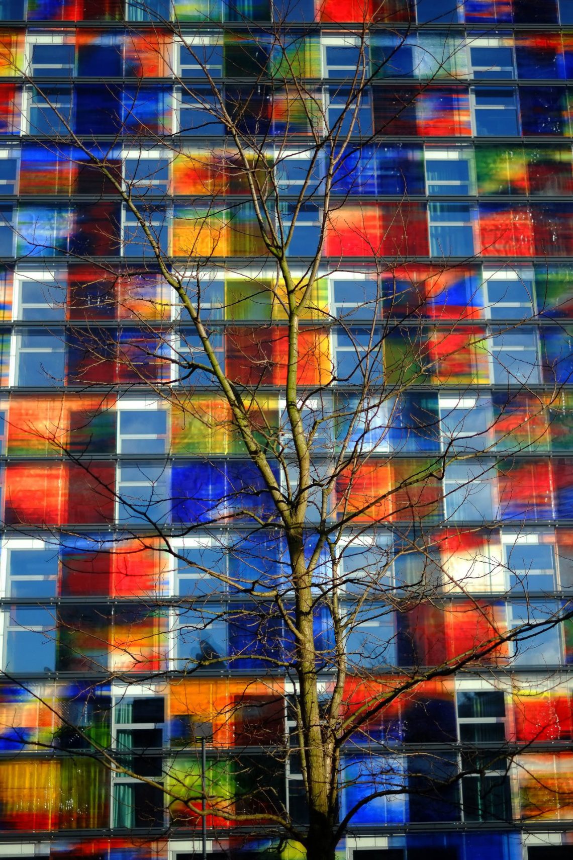 Natureza morta e cores vivas