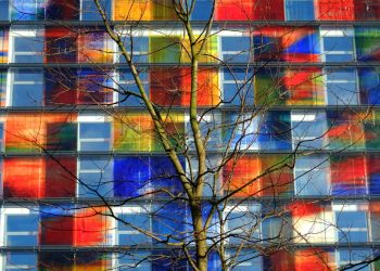 Natureza morta e cores vivas