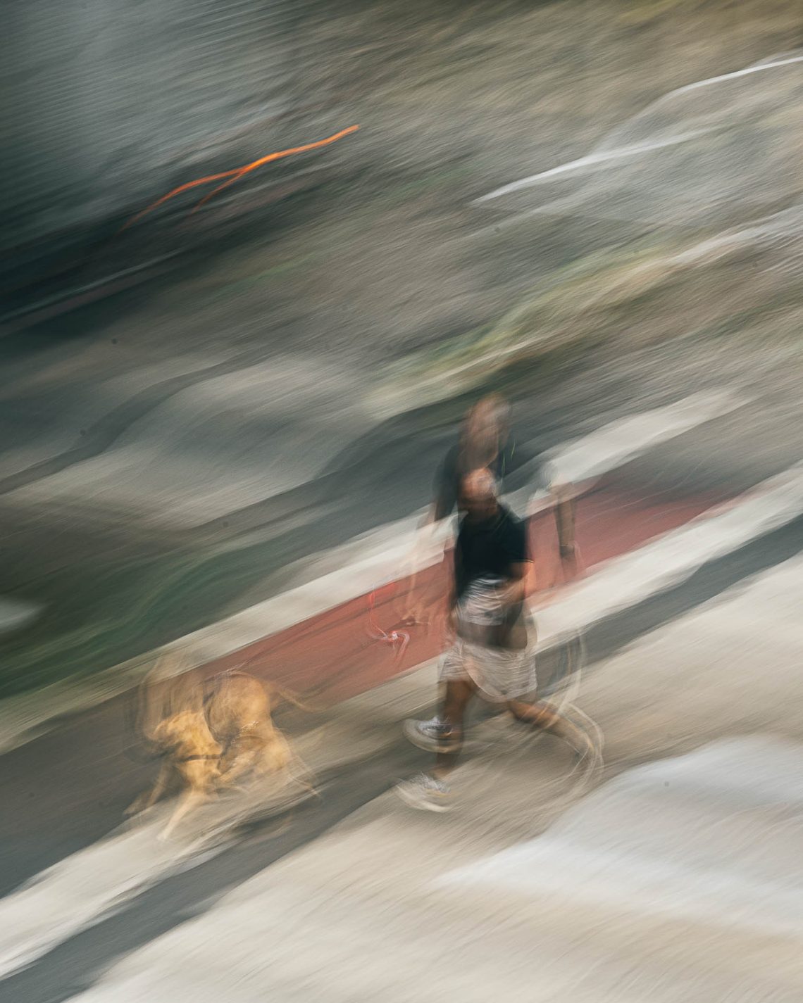 Jornal no braço, cachorro em fuga!