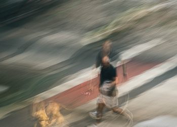 Jornal no braço, cachorro em fuga!