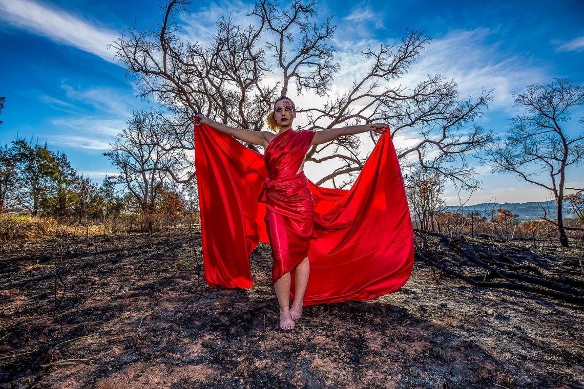 Entre o Fogo e as Cinzas