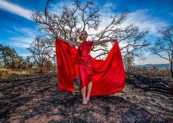 Entre o Fogo e as Cinzas