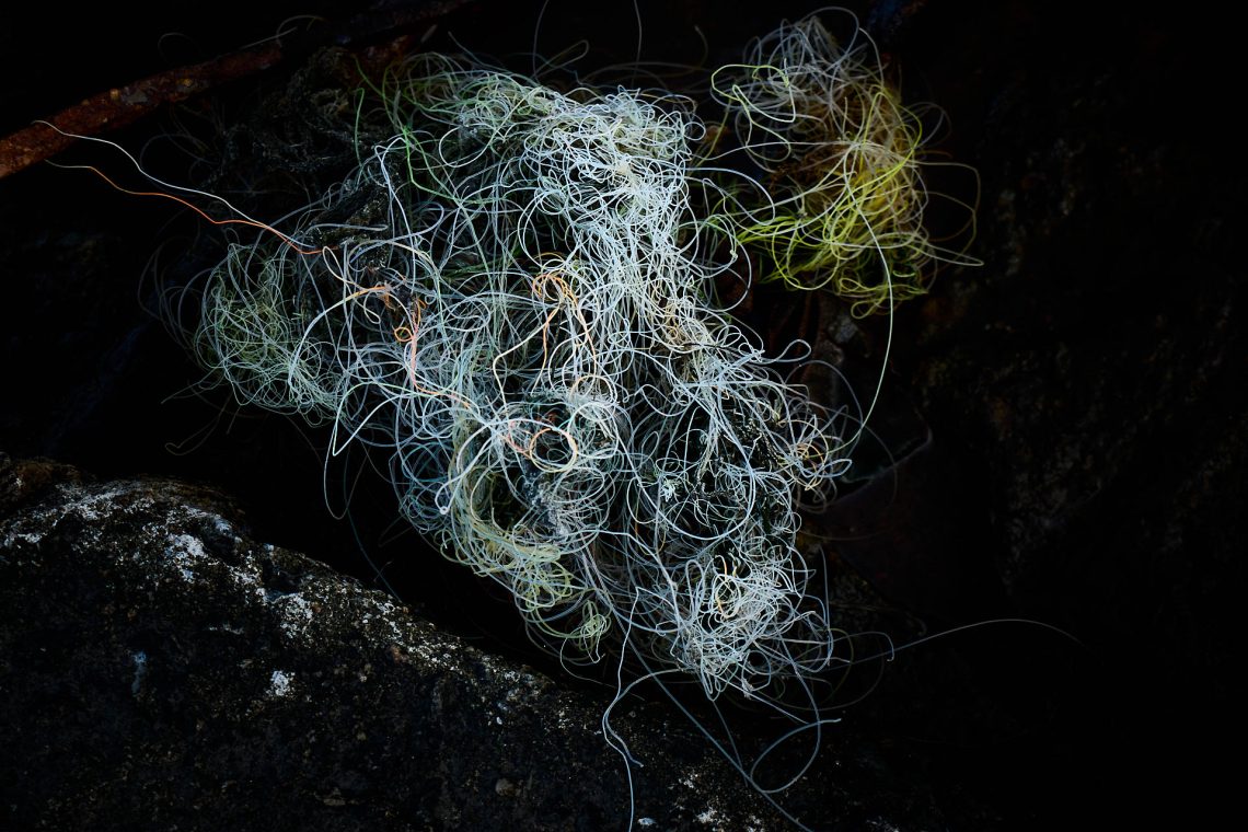 Lo que no se consume