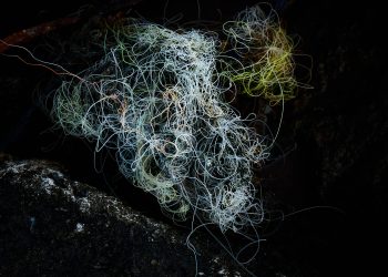 Lo que no se consume