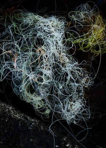 Lo que no se consume