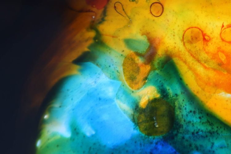 Início Azul
A fluidez do que vive. A Terra em equilíbrio - organismo líquido antes da ruptura.