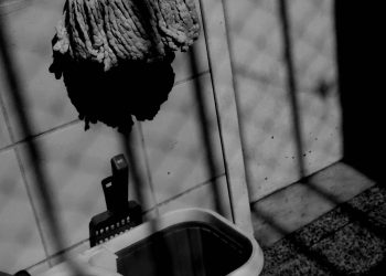 À Sombra da Proteção