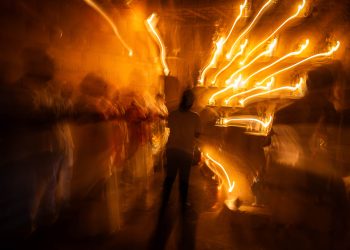 Aos seres da metamorfose