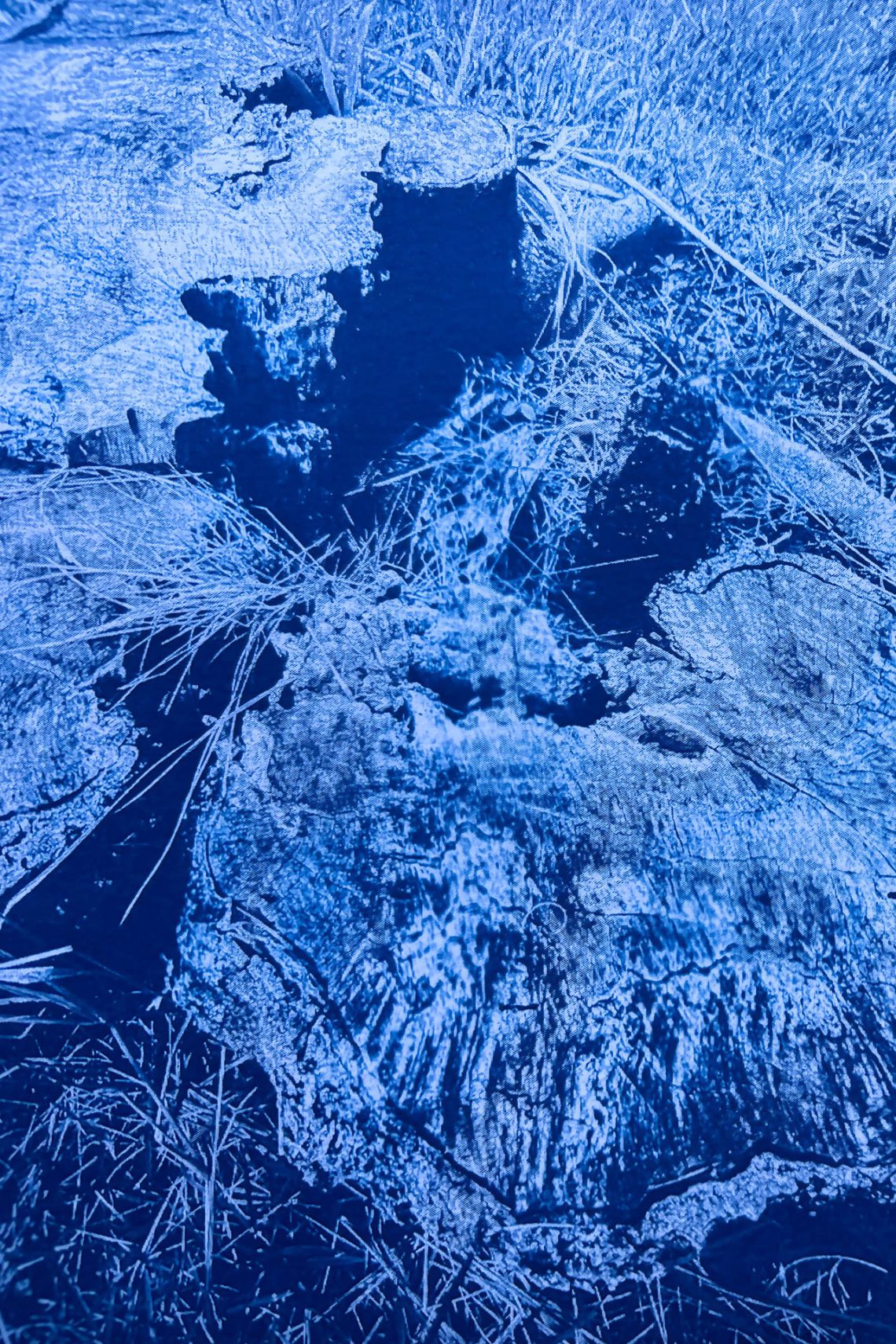 Paisagens Imaginárias