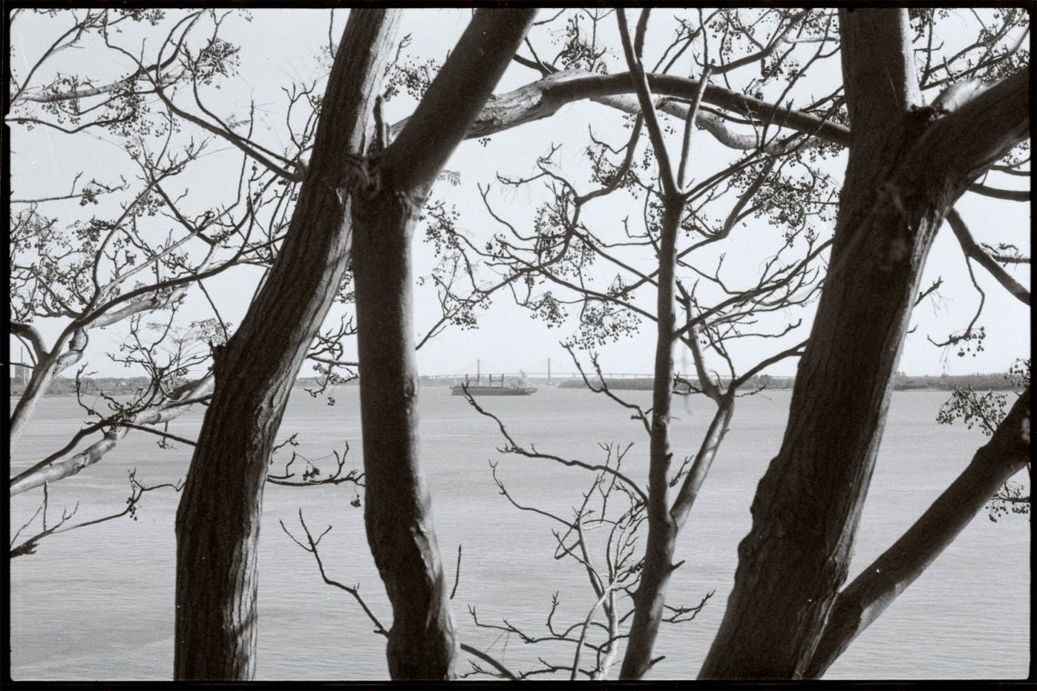 Rastros de un origen