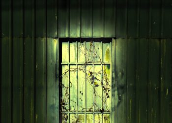 No meu sonho não tenho mais medo do escuro