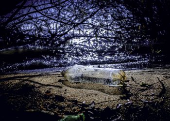 Fragmentos Venenosos do Caos Ambiental