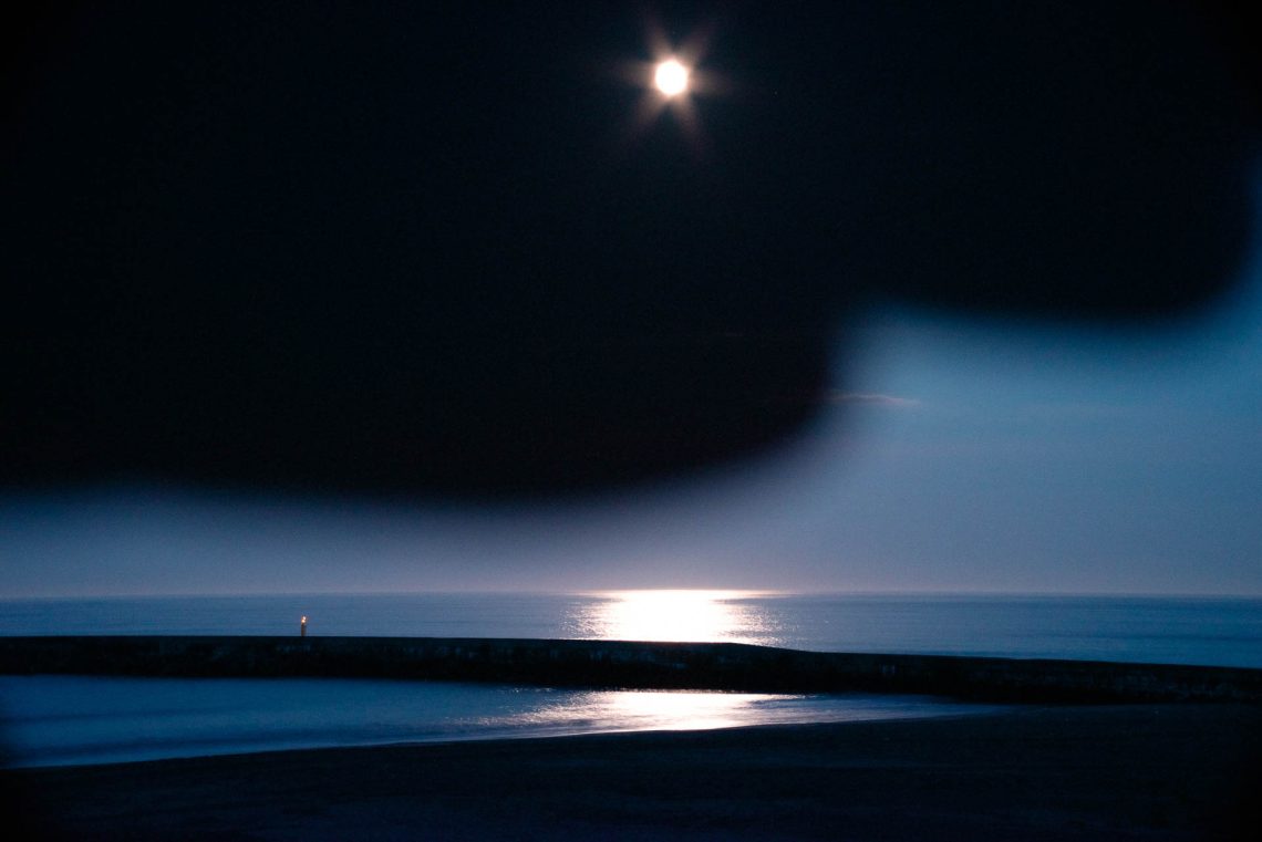 I Thought the Sea Always Smelled the Same