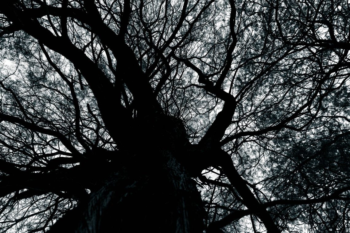 O Desocupar das Ruas