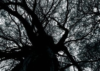 O Desocupar das Ruas