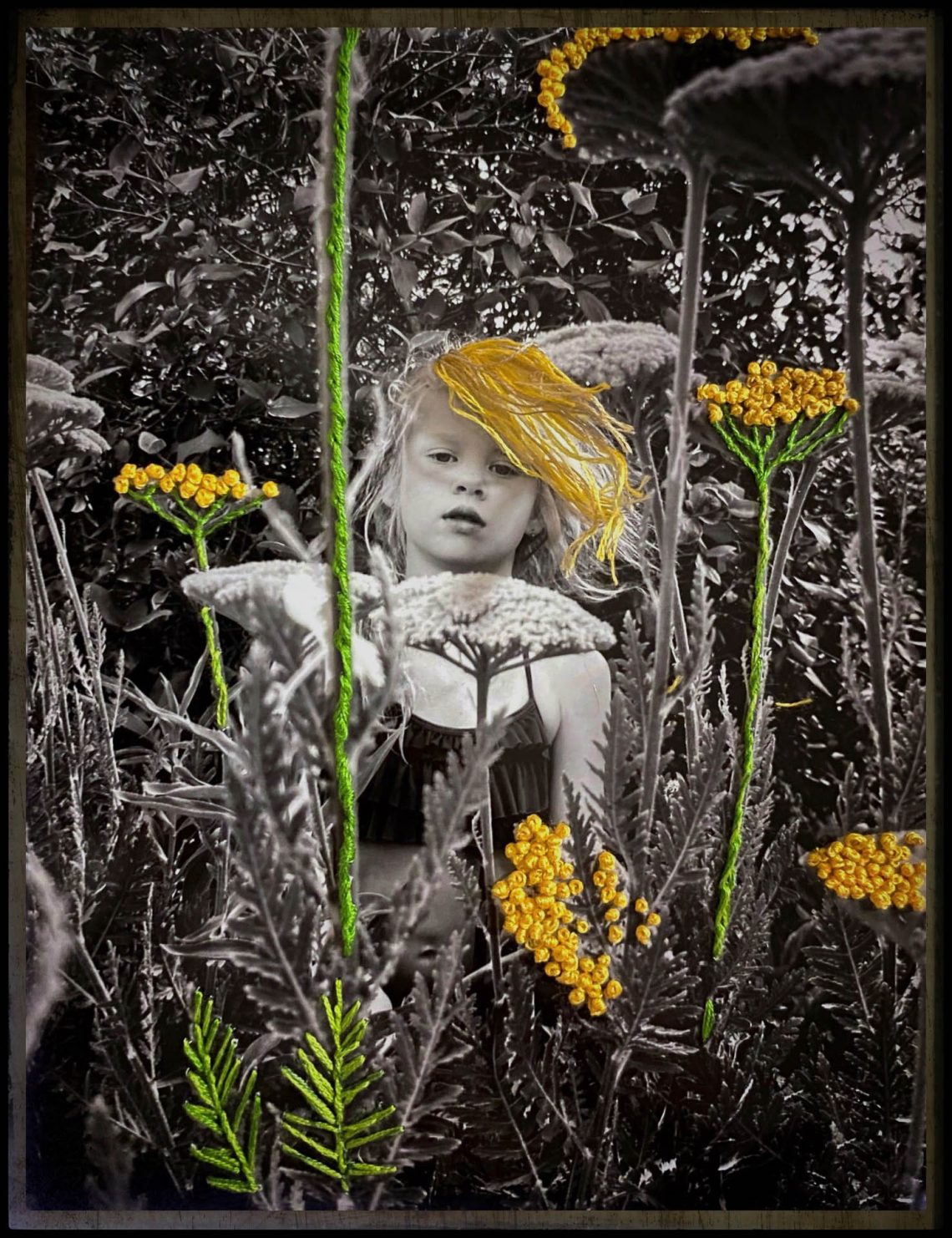 Quando as Flores Desabrocham