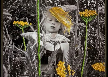 Quando as Flores Desabrocham