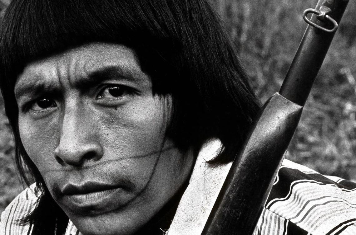 Caminhos Ancestrais: Um Olhar sobre os Povos Originários do Brasil