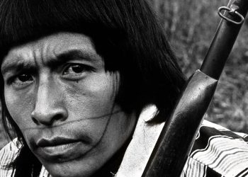 Caminhos Ancestrais: Um Olhar sobre os Povos Originários do Brasil