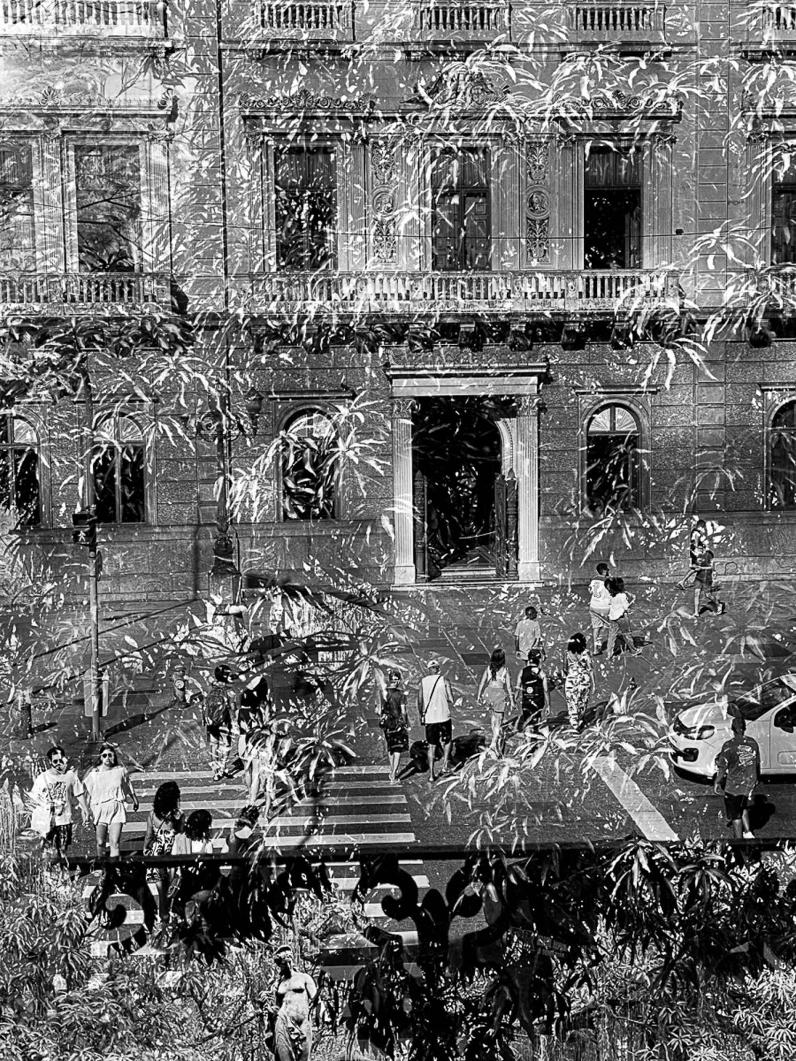 O quintal do Palácio