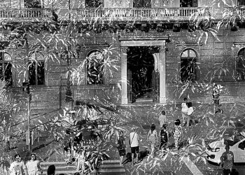 O quintal do Palácio