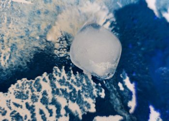 Entre fusão e forma