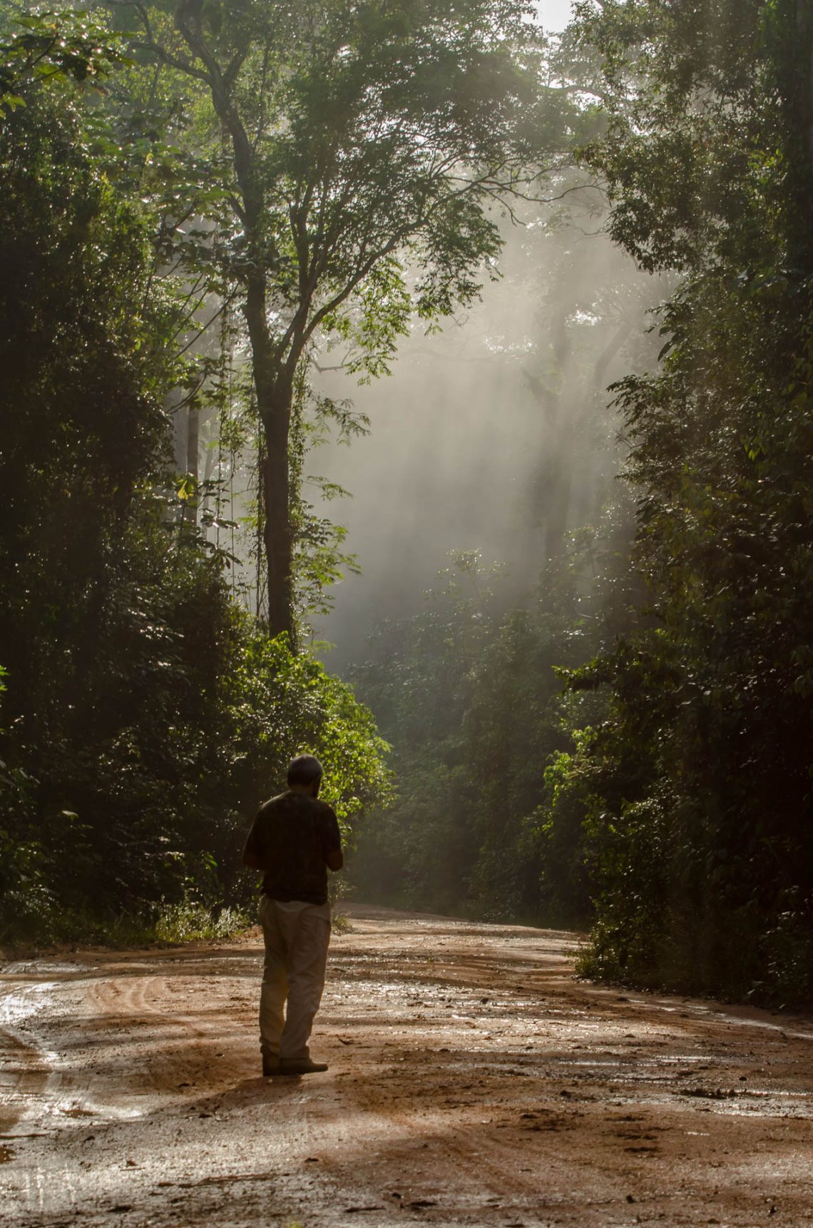 Imersão na natureza