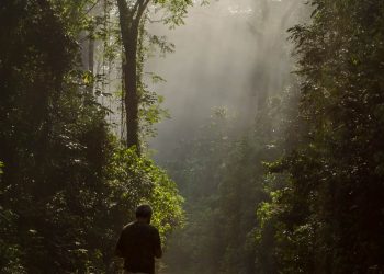 Imersão na natureza