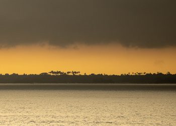 Amanhecer na Amazônia