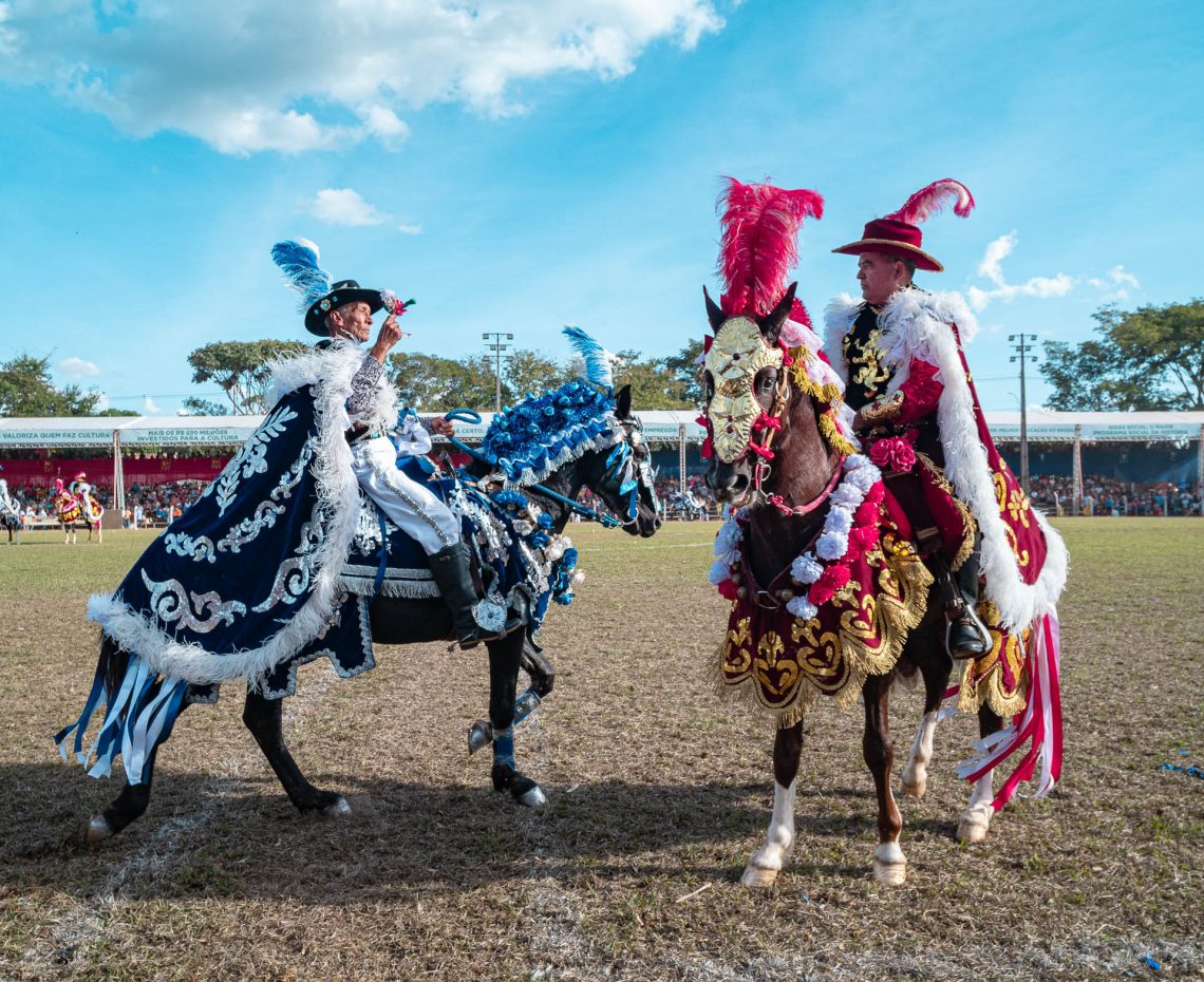 Flores em meio a guerra