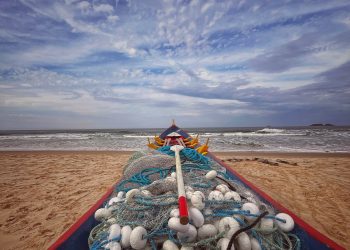 Barcos e redes – Tainha