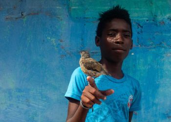 O menino e o pássaro