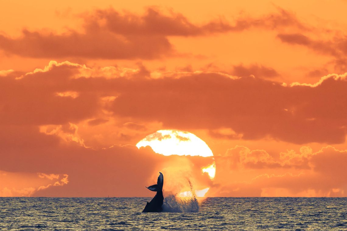 Materialização do Divino