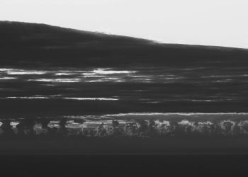 Assovio pra silhueta