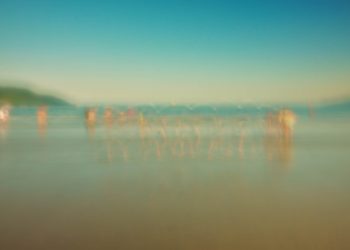 Ensaio sobre a Impermanência