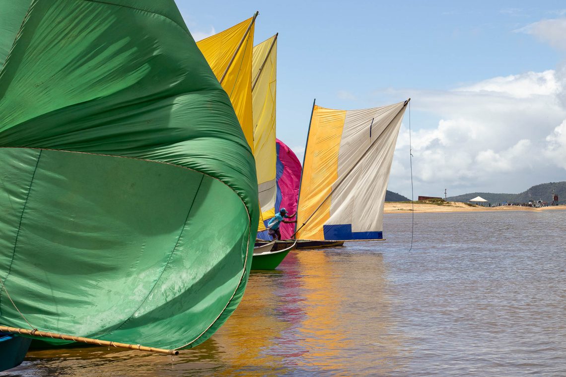 Borboletas do Velho Chico
