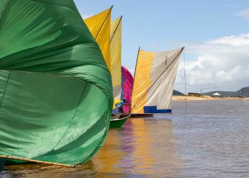 Borboletas do Velho Chico